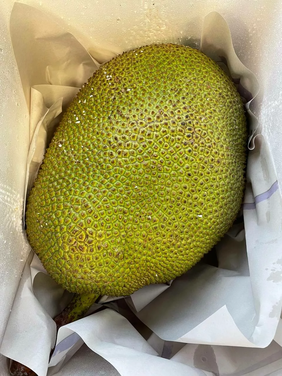 манго  другие свежие фрукты из таиланда  в Новосибирске и Новосибирской области 7