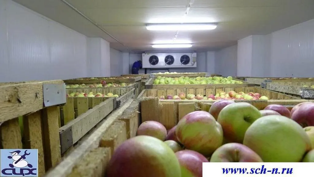 промышленное холодильное оборудование в Новосибирске 4