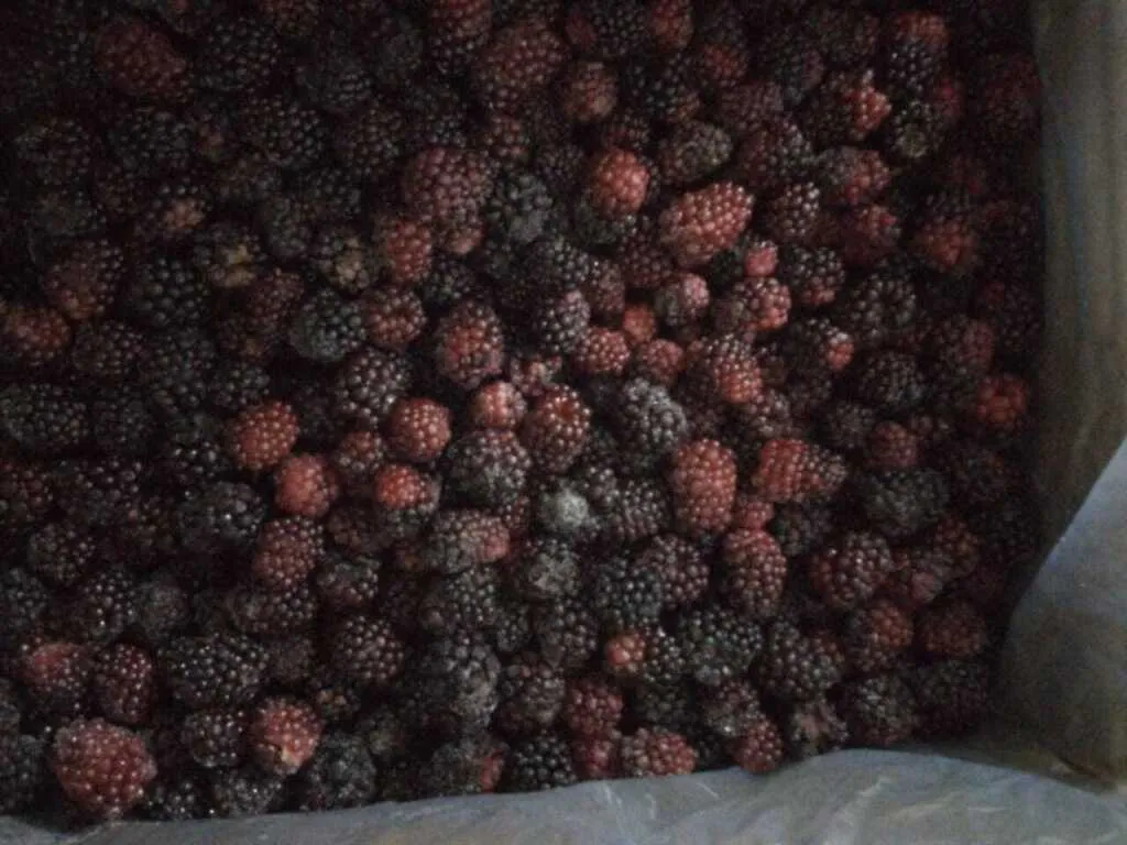ягоды замороженные опт в Новосибирске и Новосибирской области 8