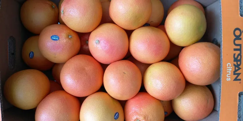 грейпфрут  по цене от производителя в Новосибирске