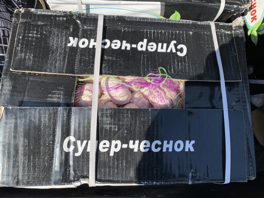 чеснок,урожай 2020 г. калибр 5 в Новосибирске 2